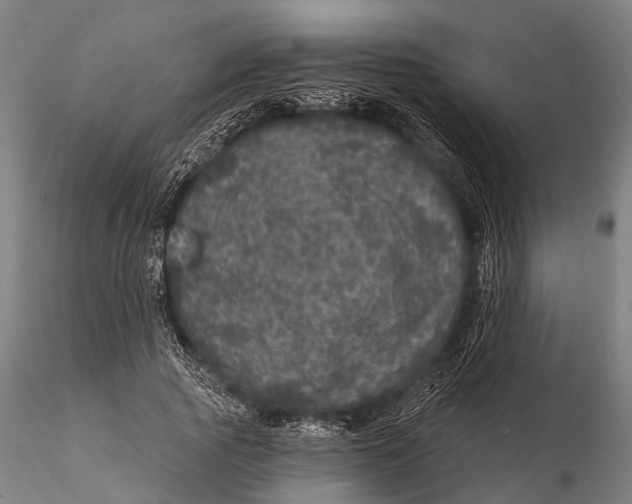 X0000116010737200912101341