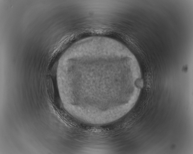 X0000116010738200912101341