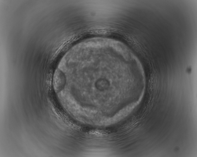 X0000116010739200912101341