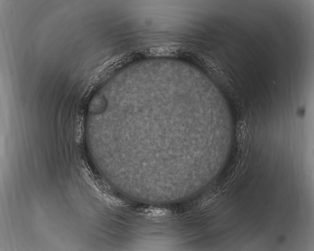 X0000116010741200912101341