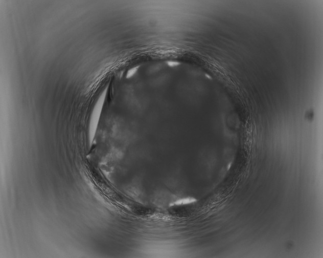 X0000116010742200912101341