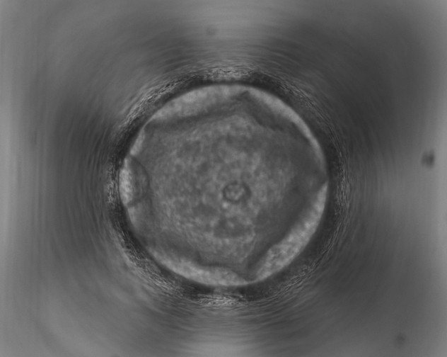 X0000116010743200912101341