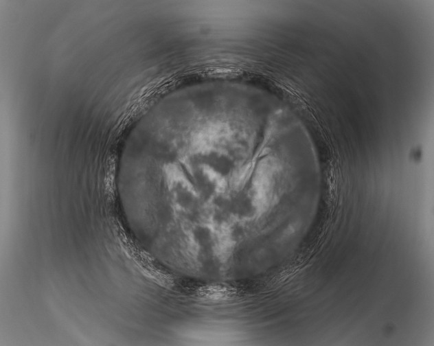 X0000116010745200912101341