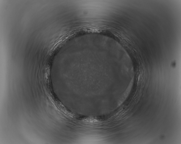 X0000116010747200912101341