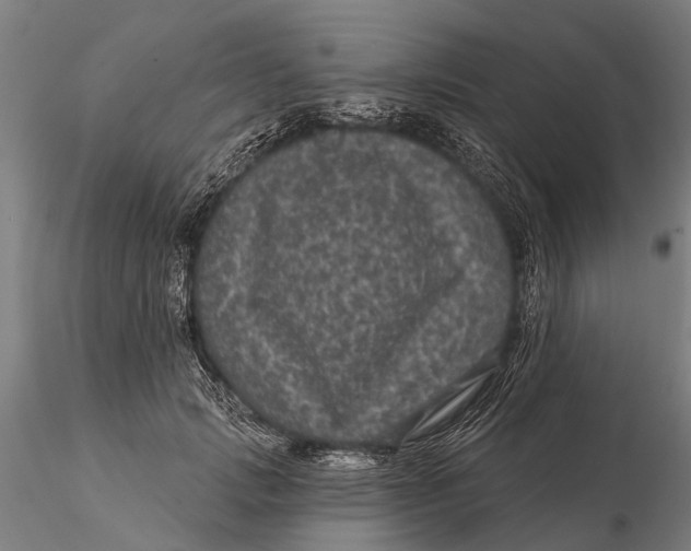 X0000116010749200912101341