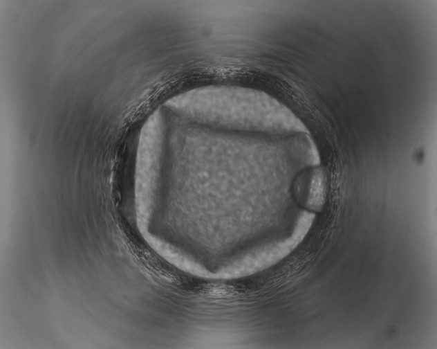 X0000116010750200912101341