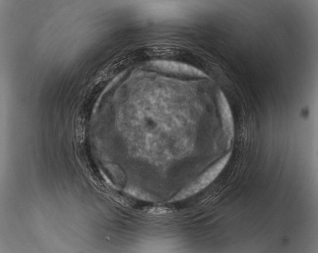 X0000116010751200912101341