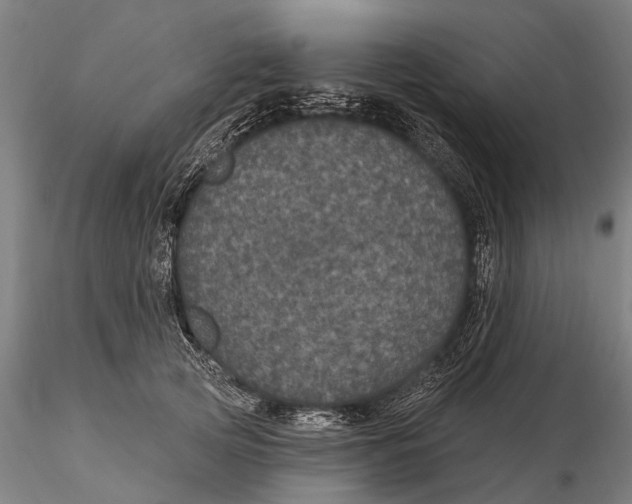 X0000116010753200912101341