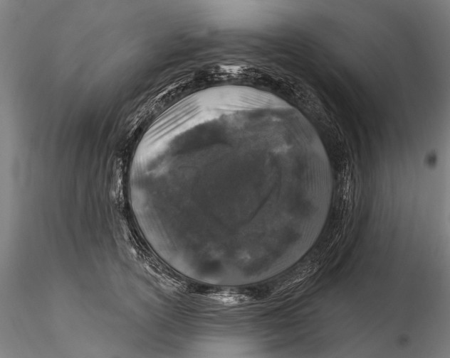 X0000116010754200912101341