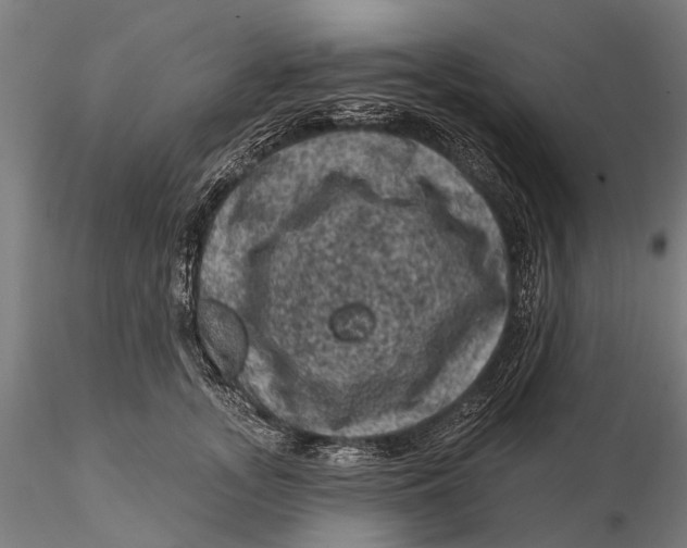 X0000116010755200912101341