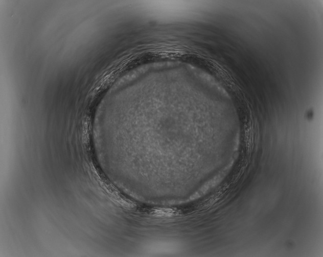 X0000116010757200912101341