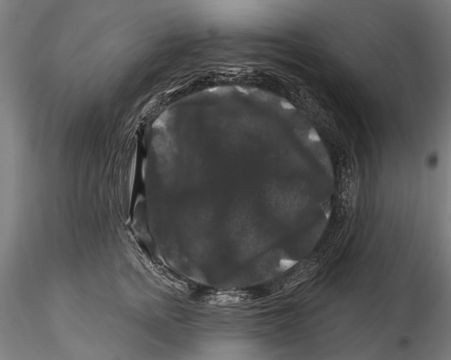 X0000116010758200912101341