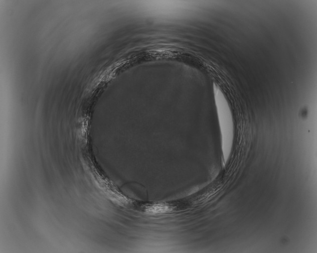 X0000116010759200912101341