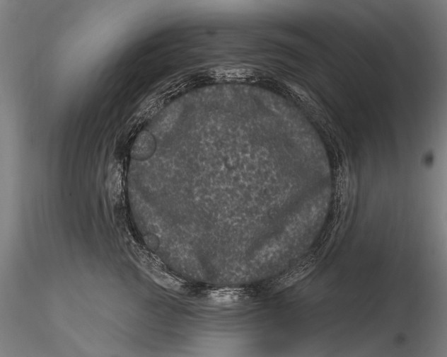 X0000116010761200912101341