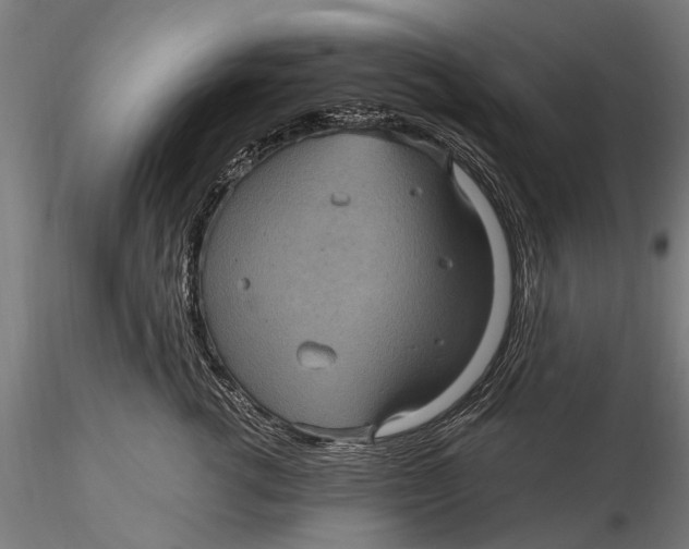 X0000116010762200912101341