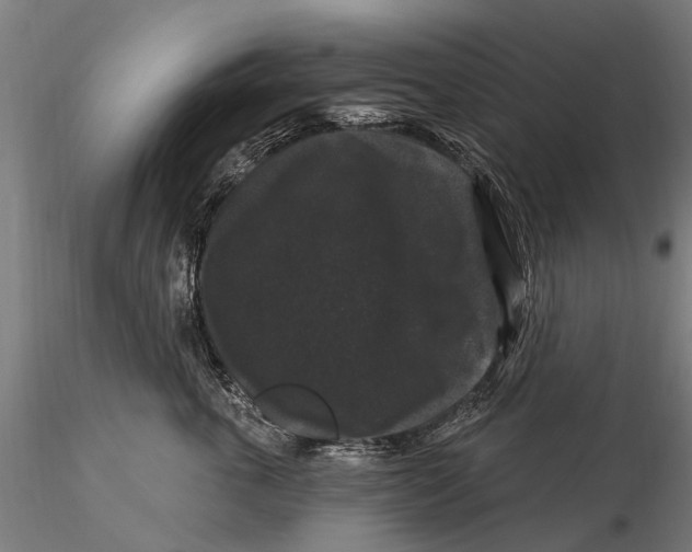 X0000116010763200912101341