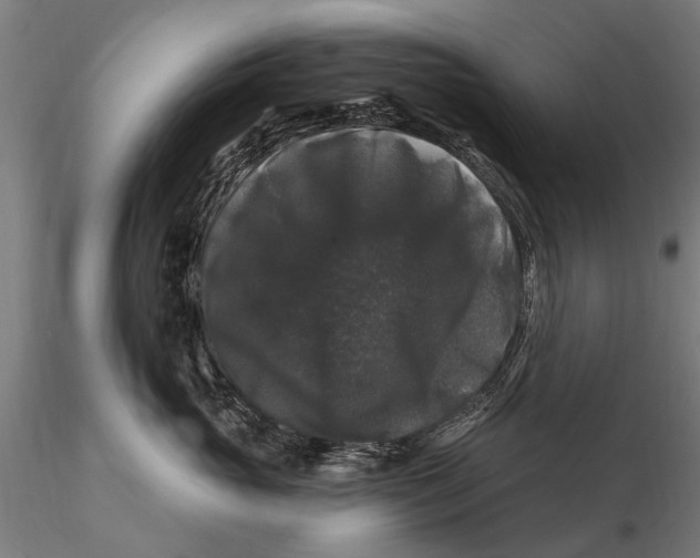 X0000116010765200912101341