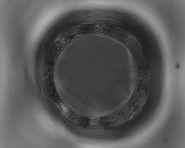 X0000116010766200912101341