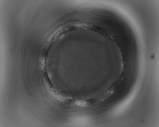 X0000116010767200912101341