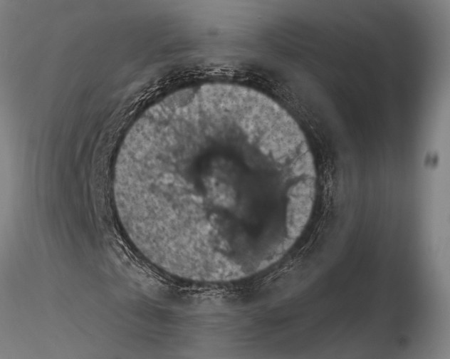 X0000116010769200912101341