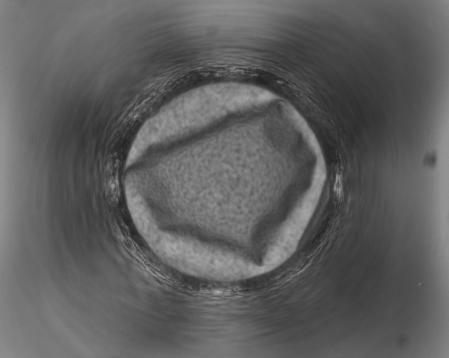 X0000116010771200912101340