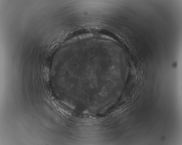 X0000116010772200912101340