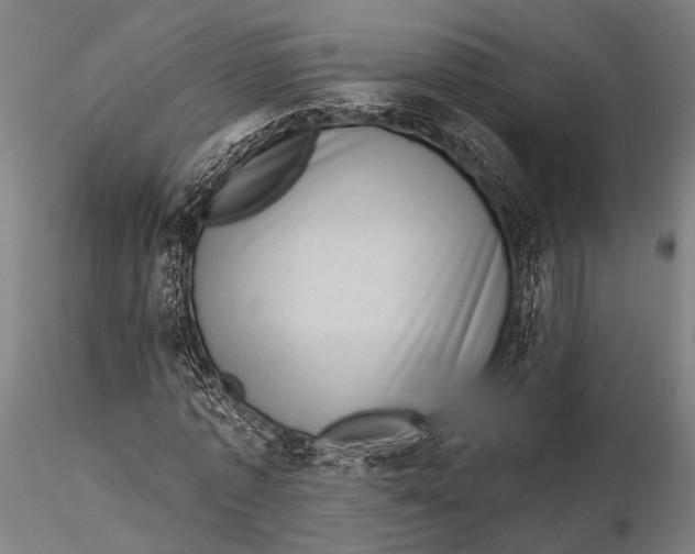 X0000116010773200912101340