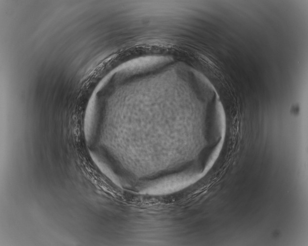 X0000116010774200912101340