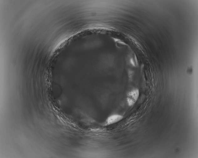 X0000116010775200912101340