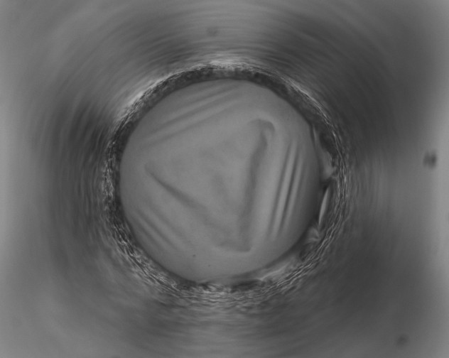 X0000116010776200912101340