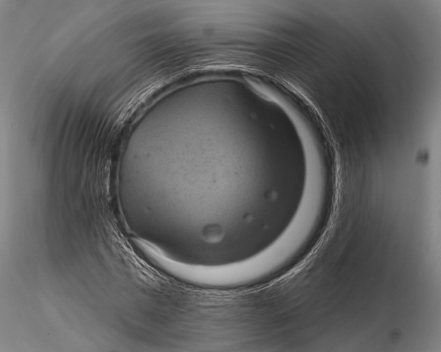 X0000116010777200912101340