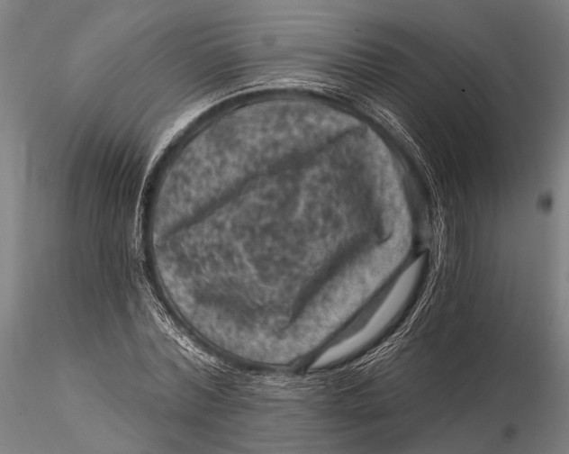 X0000116010780200912101340