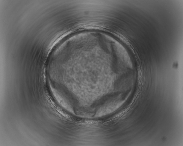 X0000116010782200912101340