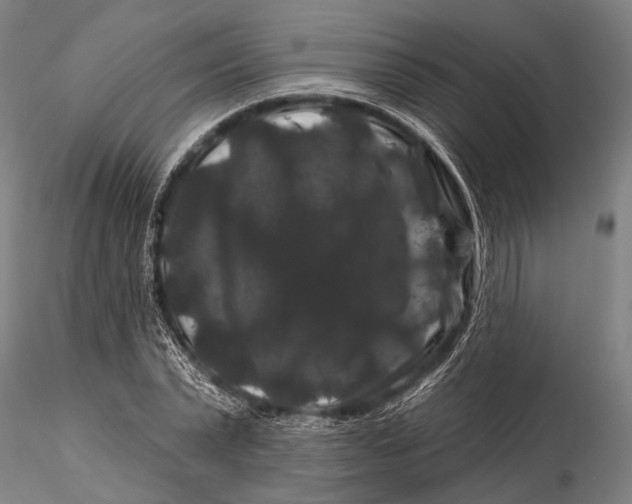 X0000116010783200912101340