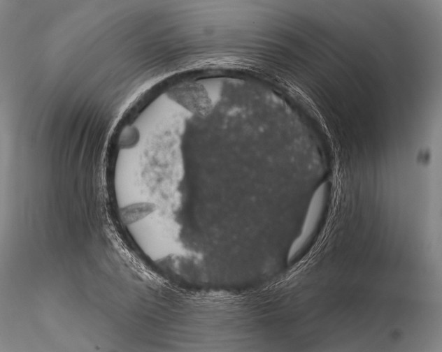 X0000116010784200912101340