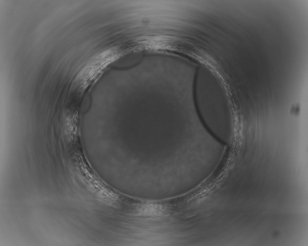 X0000116010785200912101340