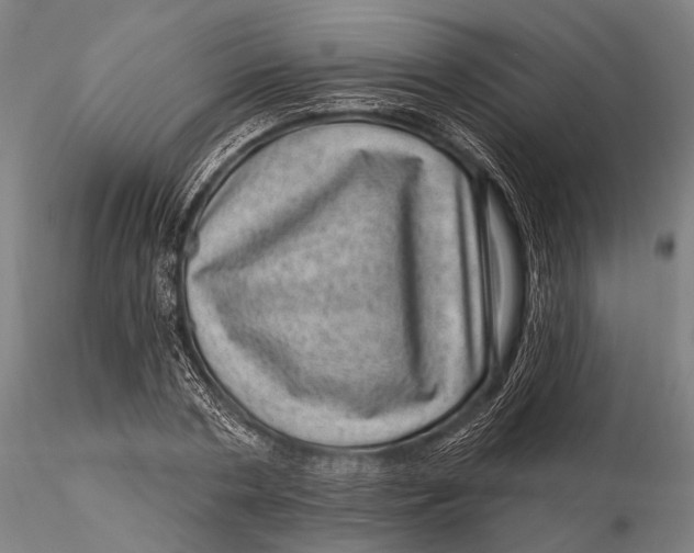 X0000116010786200912101340