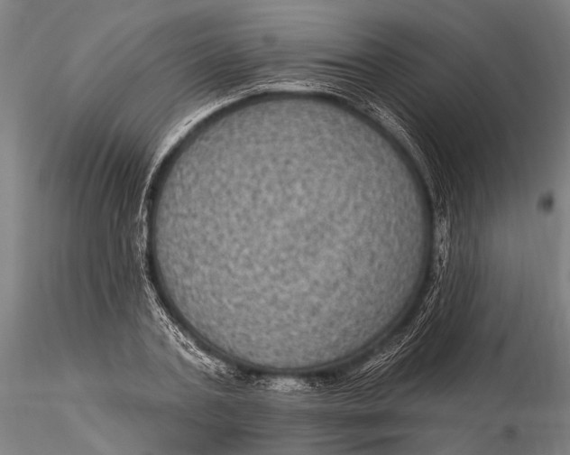 X0000116010787200912101340