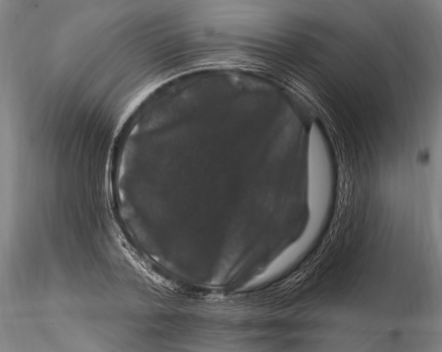 X0000116010788200912101340