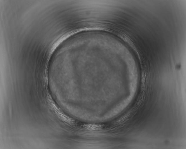 X0000116010789200912101340