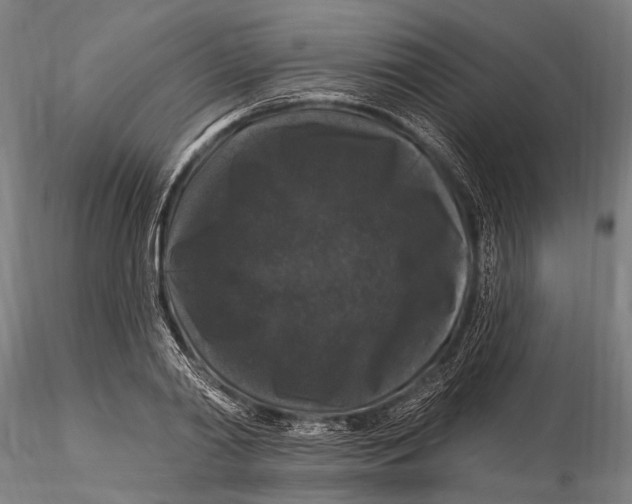 X0000116010790200912101340