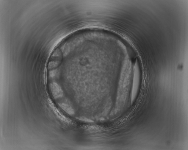 X0000116010791200912101340