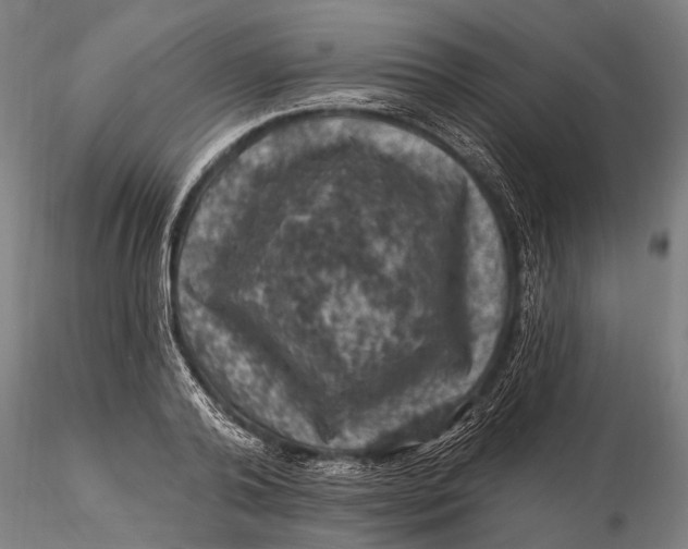 X0000116010792200912101340