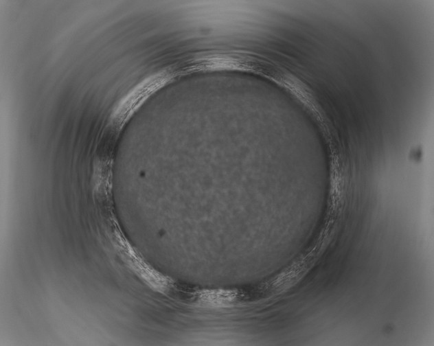 X0000116010793200912101340