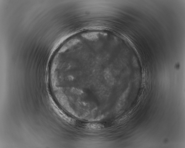 X0000116010795200912101340