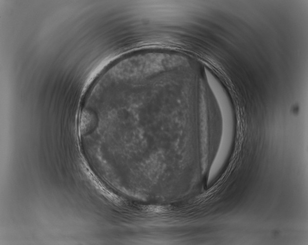 X0000116010796200912101340