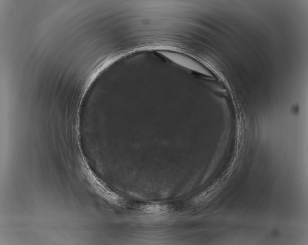 X0000116010797200912101340