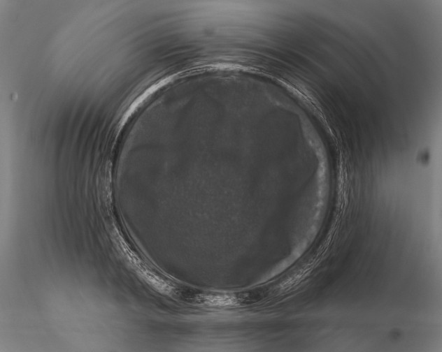 X0000116010798200912101340