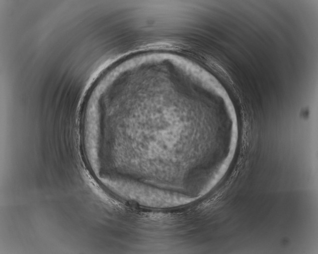 X0000116010800200912101340