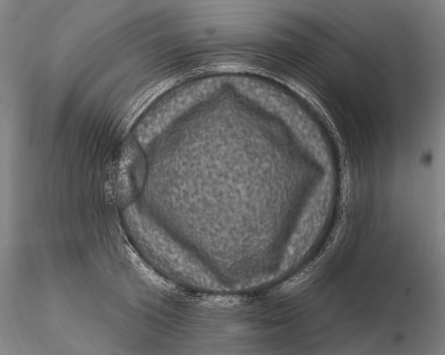 X0000116010801200912101340